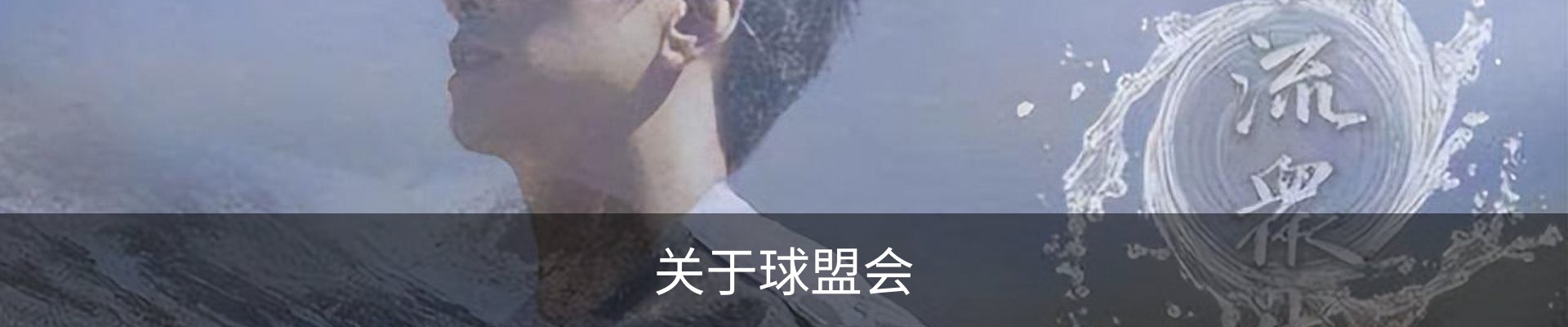 关于球盟会